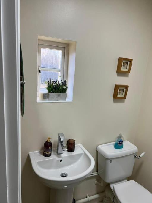 Gracehill Apartament *